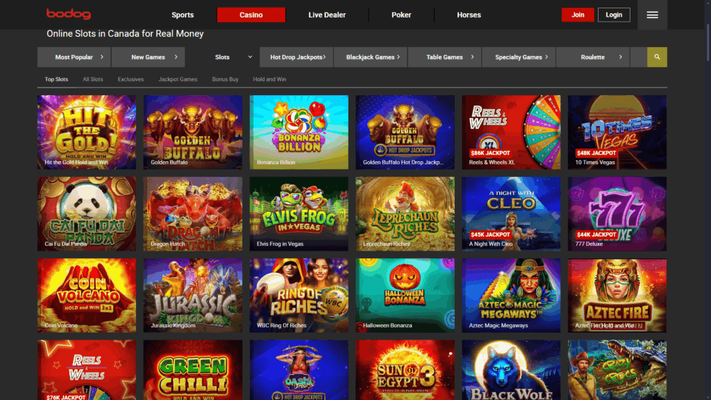 Bodog casino slots