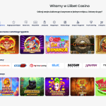 Lilibet casino automaty do gier