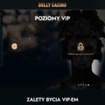 Poziomy VIP
