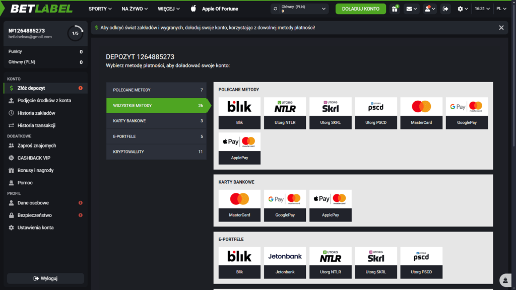 Metody Wpłaty i Wypłat