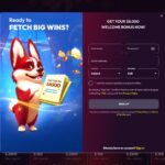 Red Dog casino registration