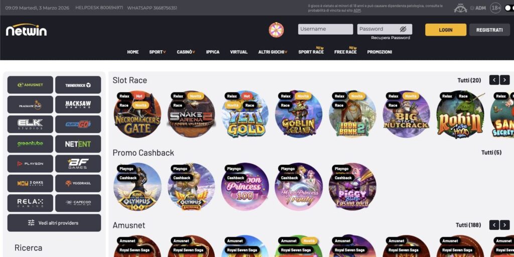 Netwin casino slots